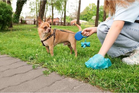 Lapdog Dog Poop Bags 8 rolls, 120 count, Biodegradeable Bags, Dog Poop Bag Dispenser Holder with Built in LED Flashlight and Metal Clip for Leash Walking, Durable Bags for Pet Waste (Teal) in Saudi Arabia
