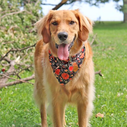 CROWNED BEAUTY Fall Dog Bandanas Reversible Large 2 Pack, Pawsome Harvest Set, Plaid Adjustable Triangle Holiday Scarves for Medium Large Extra Large Dogs Boy Girl Pets DB127-L in Saudi Arabia