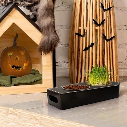 Halloween Cat Bowl Gothic Coffin Novelty Wooden Skeleton Design Non-Slip Stainless Steel Small Basic Cat Accessories Food Water Bowls Spooky Kitty Feeder for Indoor Small Pets Gift Idea for Cat Lovers in Kuwait