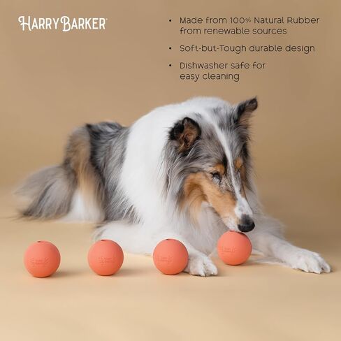 Harry Barker Rubber Balls and Rubber Chew Stick for Dogs in Saudi Arabia
