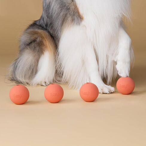 Harry Barker Rubber Balls and Rubber Chew Stick for Dogs in Saudi Arabia