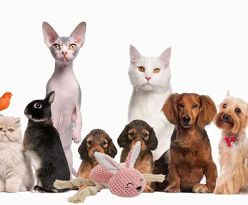 Dog Plush Pink Rabbit Toy for Aggressive Chewers, Indestructible Dog Squeaky Toys, Stuffed Animals Toys with Cotton Material and Crinkle Paper, Durable Chewing Toys, Bunny Dog Toy in Saudi Arabia
