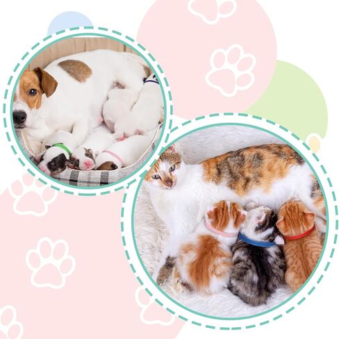 27 قطعة من أطواق الجراء للقمامة القابلة للتعديل، أطواق تعريف الجراء من النايلون الناعم مع مشبك تحرير آمن للكلاب حديثي الولادة الصغيرة والمتوسطة in Kuwait