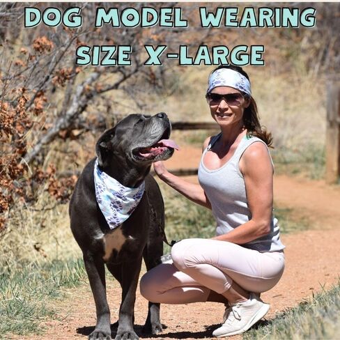 Match your pet Dog Bandana and Headband Set, Sweatbands, Pet Scarf for dogs, pet and man women (Pastel, X-Large) in Saudi Arabia