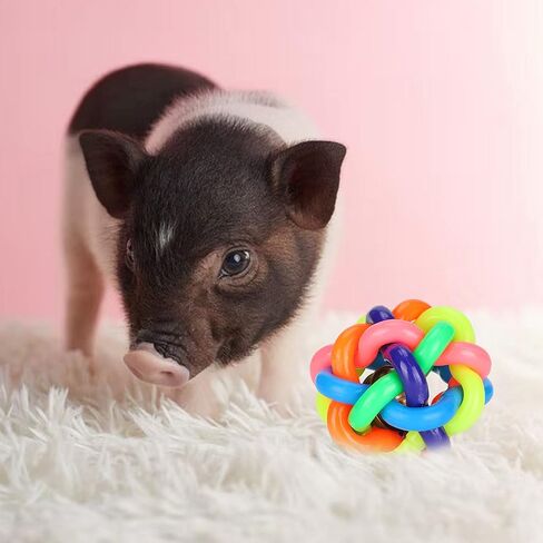 GLOGLOW Rubber Bell Ball Toys, 3 inch Colorful Soft TPR Ball Chewing Interactive Toy with Inside Bell for Dogs Mini Pigs(7.5cm) in Saudi Arabia
