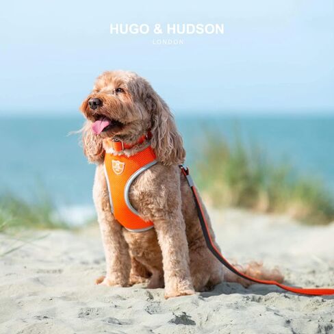 HUGO & HUDSON Mesh Dog Leash 4ft Training Pet Leash with Soft Padded Handle, Orange, 47" x 0.6" in Saudi Arabia