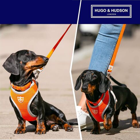 HUGO & HUDSON Mesh Dog Leash 4ft Training Pet Leash with Soft Padded Handle, Orange, 47" x 0.6" in Saudi Arabia