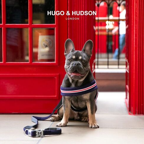 HUGO & HUDSON Mesh Dog Leash 4ft Training Pet Leash with Soft Padded Handle, Orange, 47" x 0.6" in Saudi Arabia