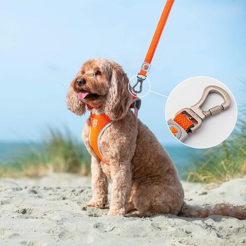 HUGO & HUDSON Mesh Dog Leash 4ft Training Pet Leash with Soft Padded Handle, Orange, 47" x 0.6" in Saudi Arabia