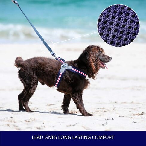 HUGO & HUDSON Mesh Dog Leash 4ft Training Pet Leash with Soft Padded Handle, Orange, 47" x 0.6" in Saudi Arabia