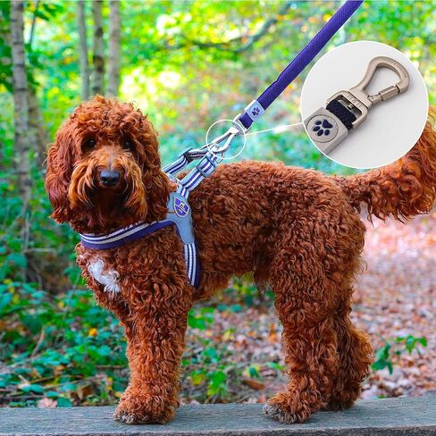 HUGO & HUDSON Mesh Dog Leash 4ft Training Pet Leash with Soft Padded Handle, Orange, 47" x 0.6" in Saudi Arabia