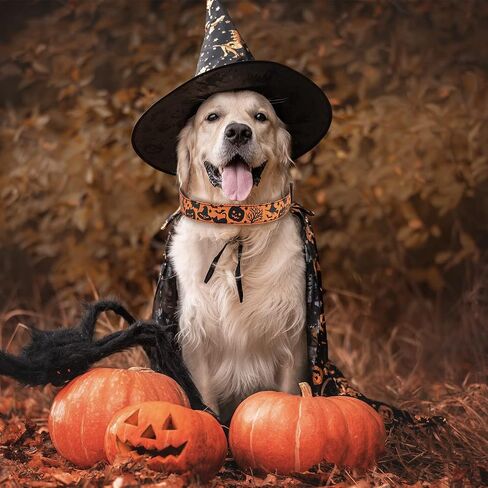 TDTOK Halloween Dog Collar, Soft Comfy Halloween Themed Pet Collar with Spooky Ghost Skull Bat Cat Witch Tree Hat Pumpkin Pattern for Small Medium Large Dogs (1 PCS) in Saudi Arabia