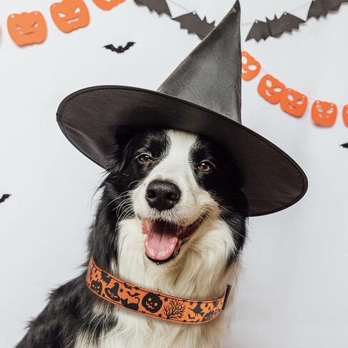 TDTOK Halloween Dog Collar, Soft Comfy Halloween Themed Pet Collar with Spooky Ghost Skull Bat Cat Witch Tree Hat Pumpkin Pattern for Small Medium Large Dogs (1 PCS) in Saudi Arabia