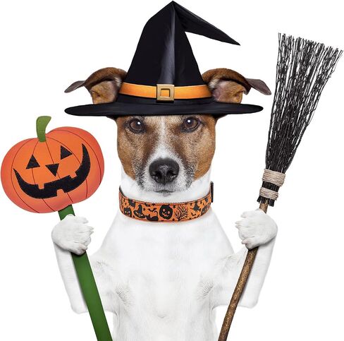 TDTOK Halloween Dog Collar, Soft Comfy Halloween Themed Pet Collar with Spooky Ghost Skull Bat Cat Witch Tree Hat Pumpkin Pattern for Small Medium Large Dogs (1 PCS) in Saudi Arabia