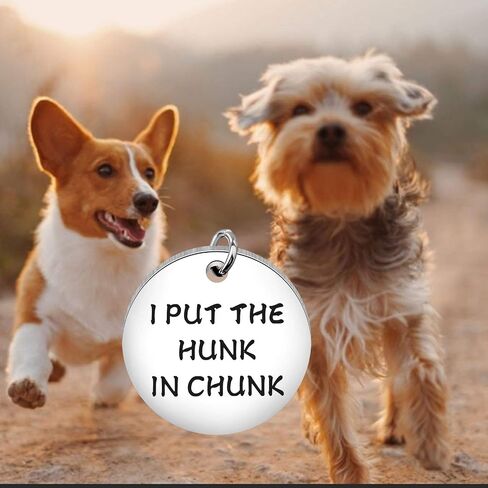 Funny Dog Cat Pet ID Tag I Put The Hunk in Chunk Stainless Steel Pet Tags Pet Gifts ID Tag for Dogs (Hunk in Chunk tag) in Saudi Arabia