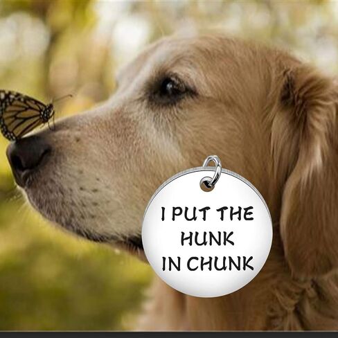 Funny Dog Cat Pet ID Tag I Put The Hunk in Chunk Stainless Steel Pet Tags Pet Gifts ID Tag for Dogs (Hunk in Chunk tag) in Saudi Arabia