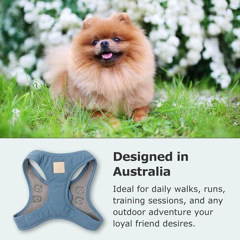 سرج FuzzYard Life Step in Dog | المقاس XL | تصميم أنيق من القطن الفاخر باللون الرمادي الداكن، مثالي للمشي اليومي in Kuwait