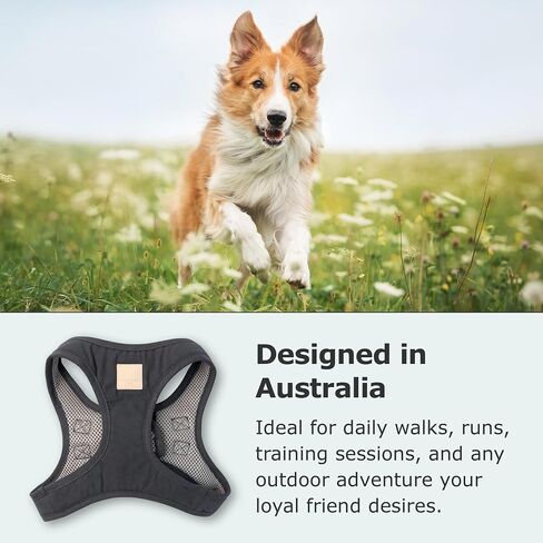 FuzzYard Life Step in Dog Harness | Size XL | Stylish Premium Cotton Design in Slate Grey Perfect for Everyday Walks in Saudi Arabia