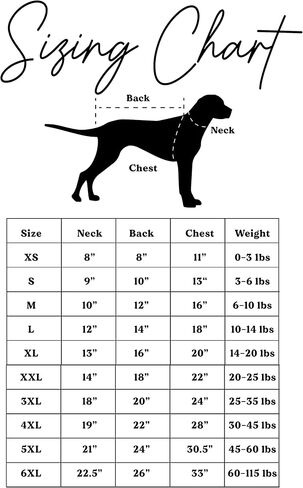He Has Risen Dog Tee Shirt Sizes for Puppies, Toys, and Large Breeds (Black, Small 1005) in Saudi Arabia