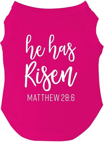 He Has Risen Dog Tee Shirt Sizes for Puppies, Toys, and Large Breeds (Black, Small 1005) in Saudi Arabia