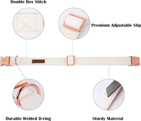 Elegant little tail Dog Collar and Leash, Girl or Boy Durable Pet Collar, Leather Dog Collar Adjustable Dog Collars for Small Dogs in Kuwait