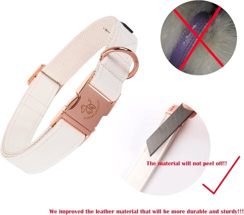 Elegant little tail Dog Collar and Leash, Girl or Boy Durable Pet Collar, Leather Dog Collar Adjustable Dog Collars for Small Dogs in Kuwait