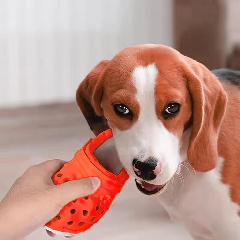 LapDog New and Fun Slipper Durable Dog Chew Toy, Treat Holder Stimulating Toy for Medium to Large Dogs, Dog Treat Dispensing Toy, Dog Puzzle Toy, (Red, Small) in Saudi Arabia