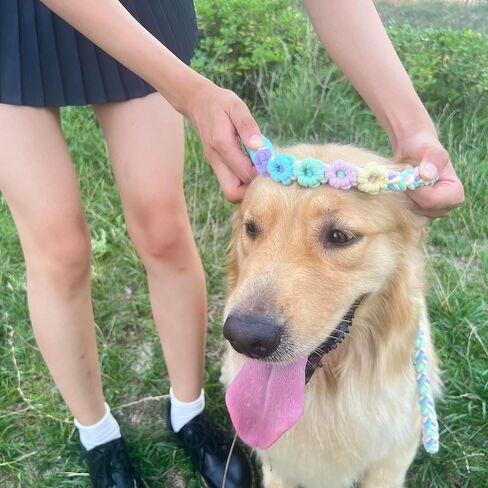 Handmade 5ft Braided Cotton Dog Leash with Unique Floral Handle, Durable and Stylish, Ideal for Small to Large Dogs, Rainbow Color in Kuwait