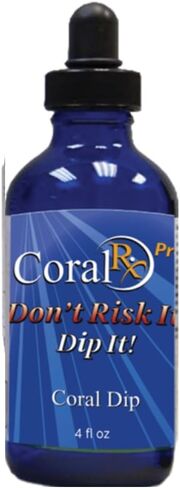 Blue Ocean CoralRx Bath for Coral Rx Aquarium QUARANTlNE (PRO Version 1 Oz Bottle), Clear in Saudi Arabia
