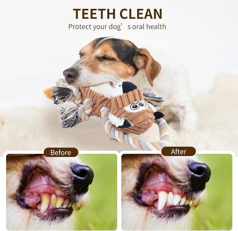 Cats Dogs Toys, Spider + Ghost, 2-Pack Plush Stuffed Squeaky Dog Chew Toys for Puppies- Funny Dog Toys for Boredom to Small and Medium Breeds Decoration in Saudi Arabia