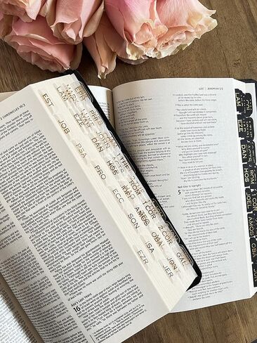 clear transparent frosted Bible tabs gold foil bible tabs christian bible tabs old testament new testament 66 bible tabs in Saudi Arabia