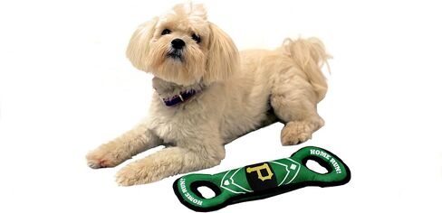 Pets First MLB PITTSBURGH PIRATES Baseball Field Dog Toy with Double rim Stitching & Inner SQUEAKER in Saudi Arabia