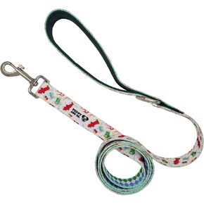 Cute 5ft Dog Leash, Stylish Nylon with Padded Handle for Everyday Walking & Comfort – for Small, Medium, Large XL Breed Dogs – Pet Accessories by Puppy and Co (Pink Floral)