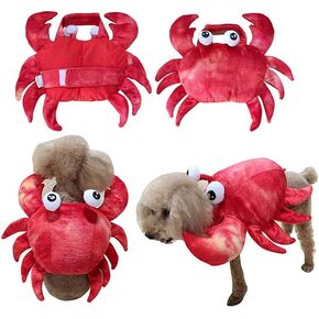 زي سرطان البحر للكلاب الأليفة، فستان تنكري للهالوين، ملابس تنكرية لطيفة لعطلة الحيوانات الأليفة، ملابس تنكرية للهالوين، زي ذو ساقين للكلاب الصغيرة والمتوسطة، زي الهالوين للكلاب المضحكة لحفلات عيد الميلاد التنكرية in Kuwait