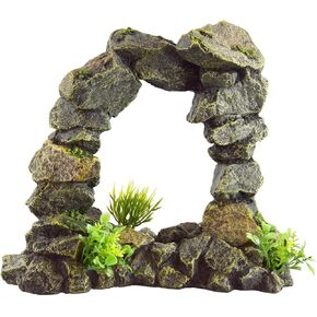 Underwater Treasures Boulder Arch