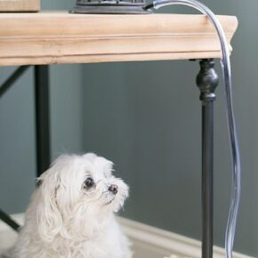Safety Paws 10’ Ruff & Tuff Cord Protector | Helps Prevent Sharp Teeth from Chewing Cords (1-Pack, Clear)