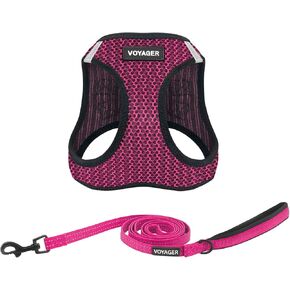 Voyager Step-in Air All Weather Mesh Harness and Reflective Dog 5 ft Leash Combo with Neoprene Handle, for Small, Medium and Large Breed Puppies by Best Pet Supplies - Fuchsia (2-Tone), M