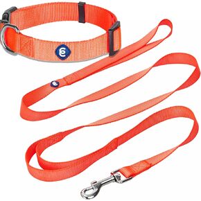 Blueberry Pet Essentials Matching Dog Collar and Double Handle Leash Set in Royal Blue, Adjustable Classic Solid Color Nylon Collar with 5 ft Leash for X-Small Dogs