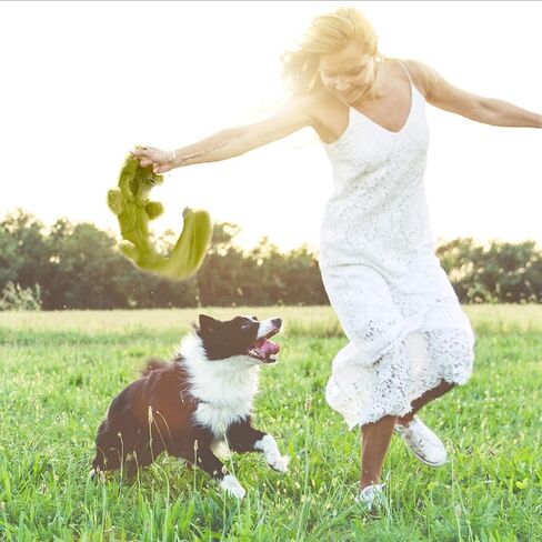 Nocciola 5 قطع ألعاب تصدر صوتًا مجعدًا للكلاب مع طبقة مزدوجة من القماش المقوى، ألعاب قطيفة متينة للكلاب، مجموعة ألعاب للكلاب بدون حشو للكلاب الصغيرة والكبيرة (5 قطع 45 صرير، سلسلة الغابة 4) in Kuwait