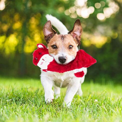 Nocciola 5 قطع ألعاب تصدر صوتًا مجعدًا للكلاب مع طبقة مزدوجة من القماش المقوى، ألعاب قطيفة متينة للكلاب، مجموعة ألعاب للكلاب بدون حشو للكلاب الصغيرة والكبيرة (5 قطع 45 صرير، سلسلة الغابة 4) in Kuwait