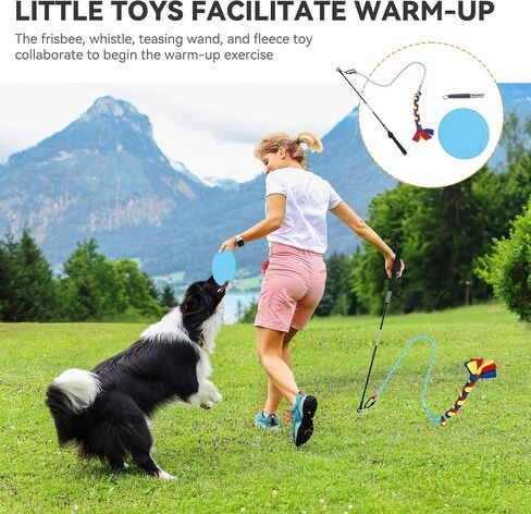 YITAHOME Dog Agility Training Equipments: includes Flirt Pole Toy, 3 Flying Discs, 2 Agility Tunnel, 3 Jumps, 6 Weave Poles, Pause Box, Dog Agility Course Backyard Set Indoors Outdoors in Saudi Arabia