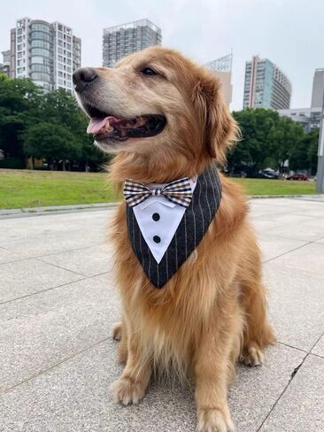 HDKUW Dog Tuxedo, Dog Wedding Bandana Collar with Bow Tie, Adjustable Dog Tux Formal Dog Costumes for Medium Large Dogs Green in Saudi Arabia