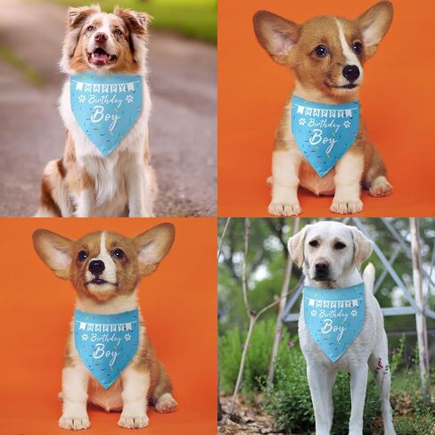 Dog Birthday Bandanas Boy Dog Birthday Outfit Decorations Scarf Gifts for Birthday Boy Dog Puppy Pet Happy Birthday Blue Dog Bandana Dog First Birthday Party in Kuwait