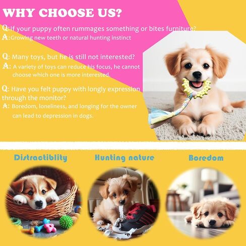 3 Pack Colored Puppy Toys for Teething Soft Dog Chew Toys for Beagle, Corgi, French Bulldog, Chihuahua or Under 10 lbs Puppies Interactive Rubber Teething Toys Birthday Gift Set in Saudi Arabia