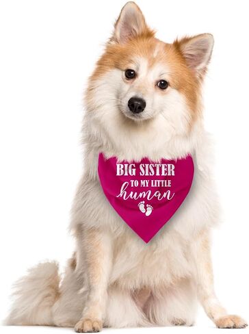 Big Sister Dog Bandana, Pink Dog Bandana, Big Sister Bandana for Dog, Gender Reveal Dog Bandana, Baby Announcement Dog Bandana, Dog Bandana for Small Medium Large Dogs, Dog Triangle Scarf (D4) in Saudi Arabia