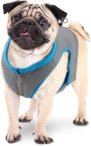 ALL FOR PAWS Cooling Vest Dog Cooling Shirts Breathable Instant Cooling Dogs Vest Lightweight for Summer Dog Clothes (M) in Saudi Arabia
