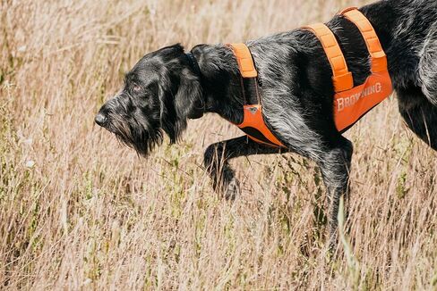 Browning Pet Vests, Hi Vis Safety Vests for Dogs, Safety Orange, Large, Chest Protection Vest in Saudi Arabia