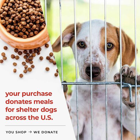 تذكار تذكاري للكلب "كن دائمًا في قلبي" من iHeartDogs - جرة حرق جثث بإطار صور لرماد الكلاب والقطط - هدايا فقدان الحيوانات الأليفة in Kuwait