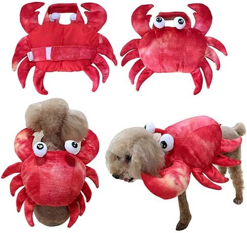 زي سرطان البحر للكلاب الأليفة، فستان تنكري للهالوين، ملابس تنكرية لطيفة لعطلة الحيوانات الأليفة، ملابس تنكرية للهالوين، زي ذو ساقين للكلاب الصغيرة والمتوسطة، زي الهالوين للكلاب المضحكة لحفلات عيد الميلاد التنكرية in Kuwait