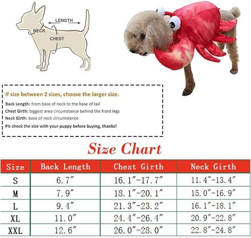 زي سرطان البحر للكلاب الأليفة، فستان تنكري للهالوين، ملابس تنكرية لطيفة لعطلة الحيوانات الأليفة، ملابس تنكرية للهالوين، زي ذو ساقين للكلاب الصغيرة والمتوسطة، زي الهالوين للكلاب المضحكة لحفلات عيد الميلاد التنكرية in Kuwait